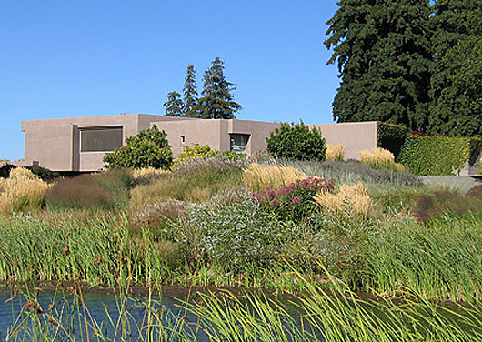 Project C, View 6